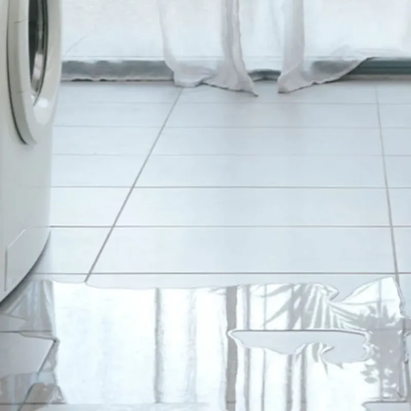 Appliance Leak Cleanup in Rutland, WI